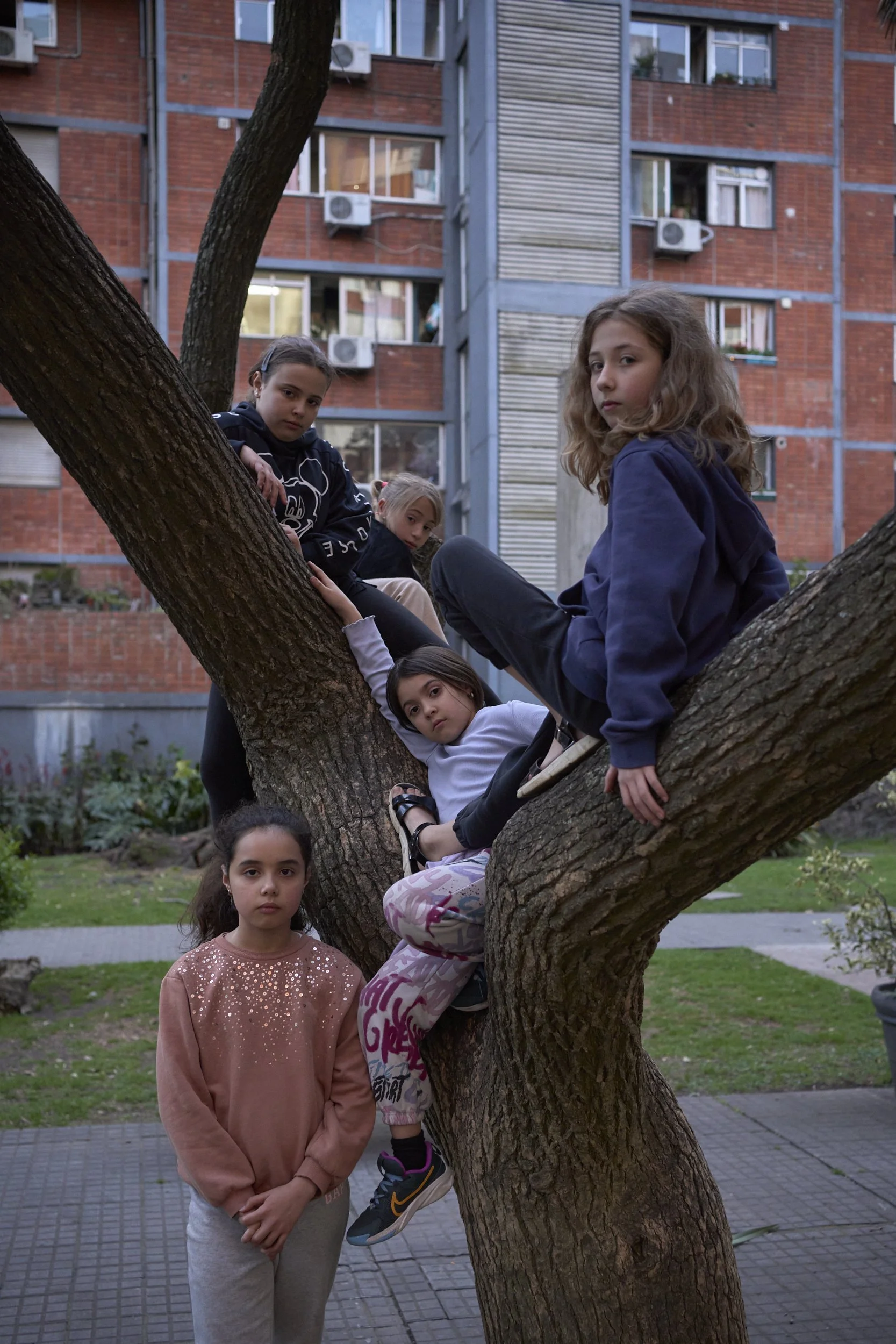  Emilia, Guillermina, Mia, Emilia and Isabel pose for a pictures in their favorite tree. They are friends and neighbours and they are growing up together. 