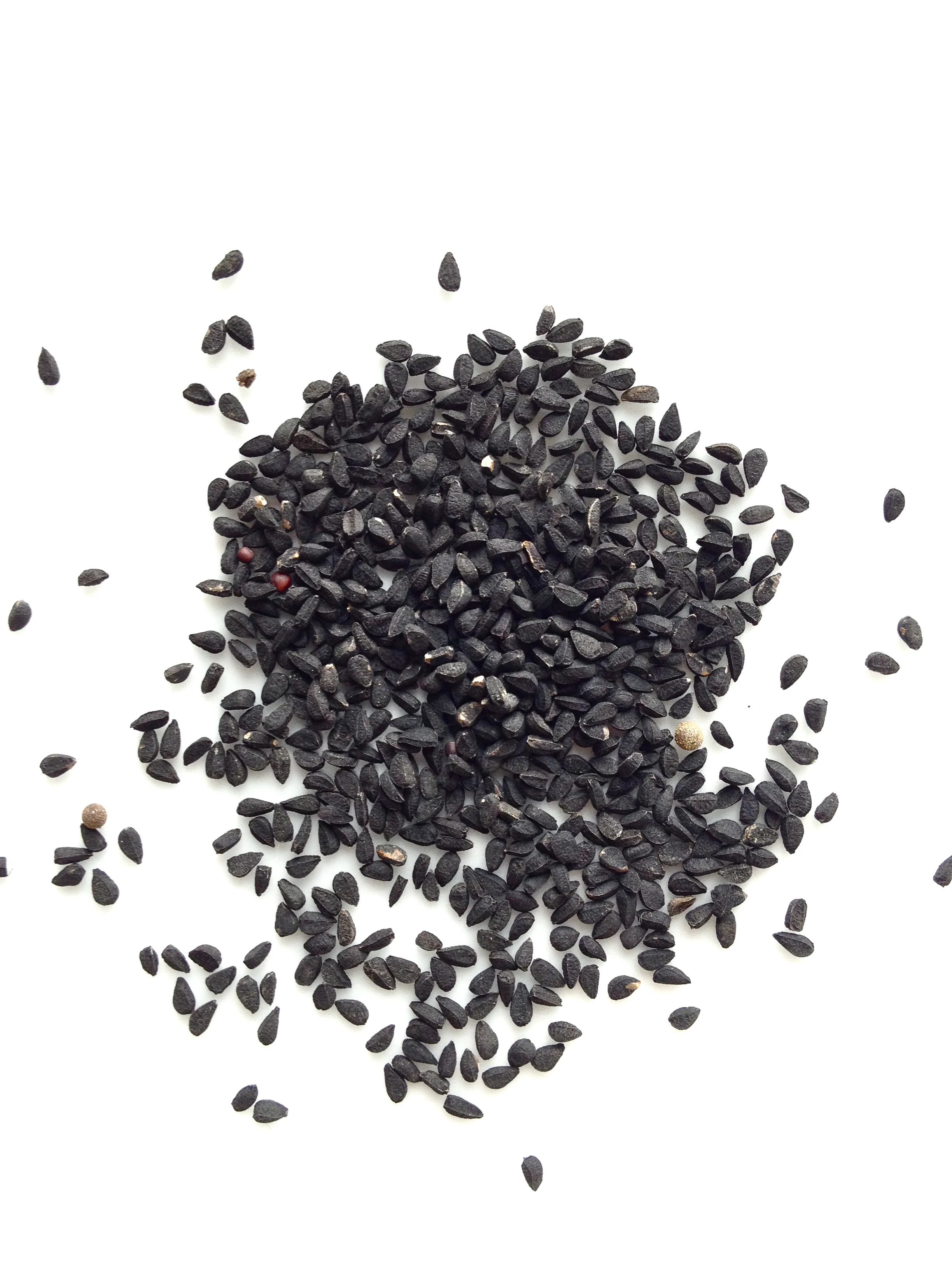 Nigella Seeds