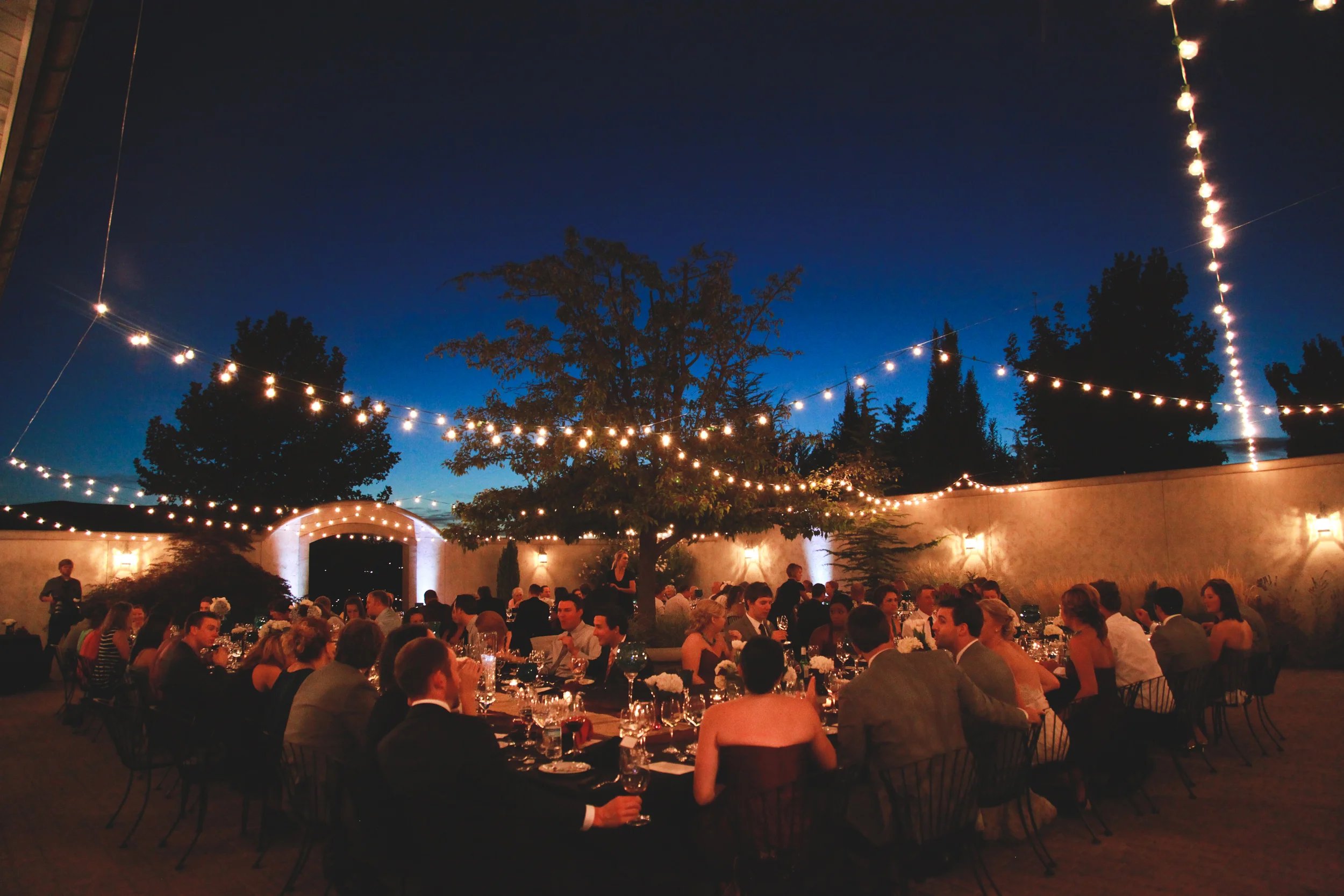 IMG_2732ed copy 2.jpg