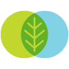 Dr. Ellen Simone, Naturopathic Doctor