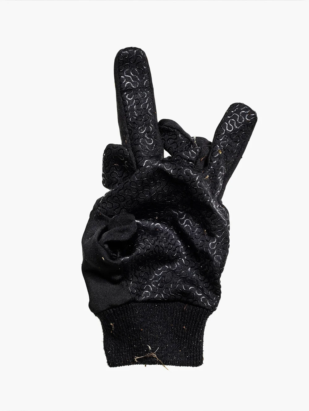 20170113 Found Gloves94438.jpg