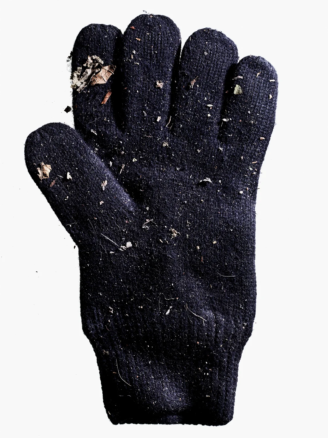20171201 Gloves-112621.jpg