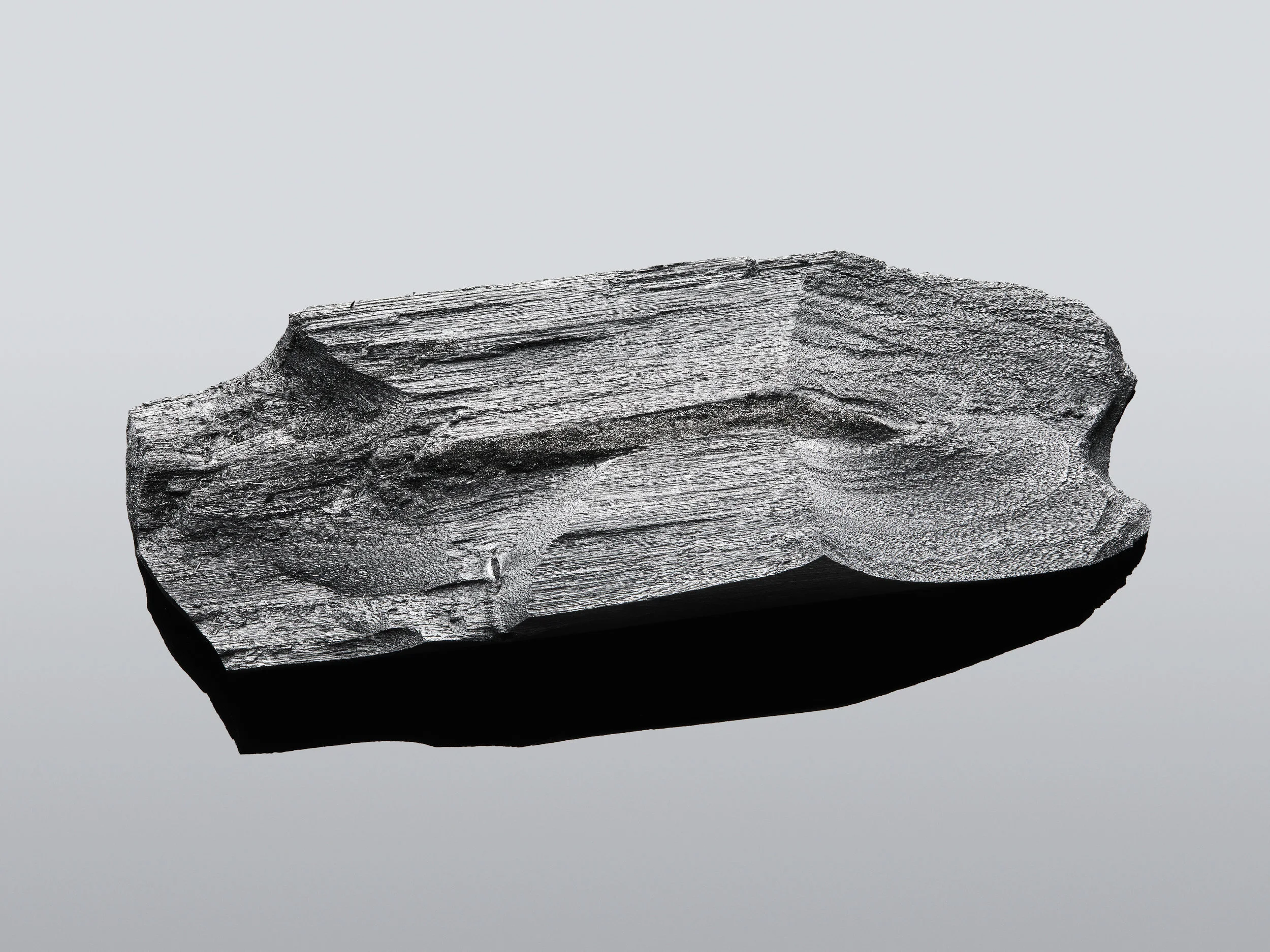 20190308 Charcoal-3909 v2.jpg