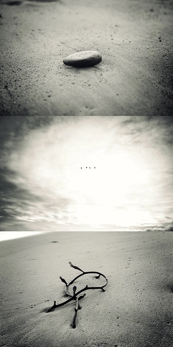 ©2014 Wendy Whitesell