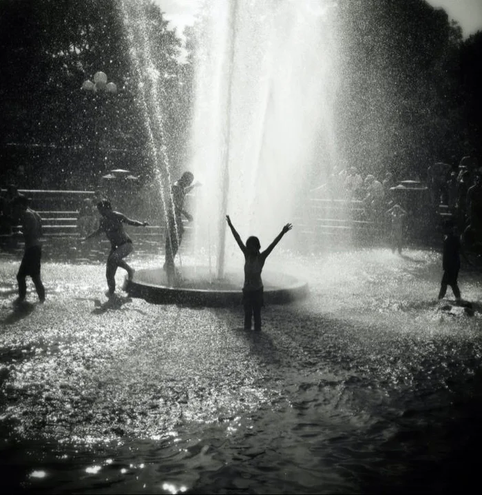 © 2013 wendy whitesell foto