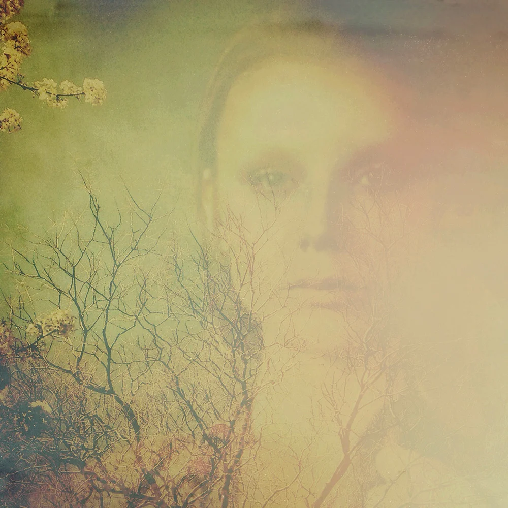 Unrooted, 2015 14"x14" (C print / digital double exposure)