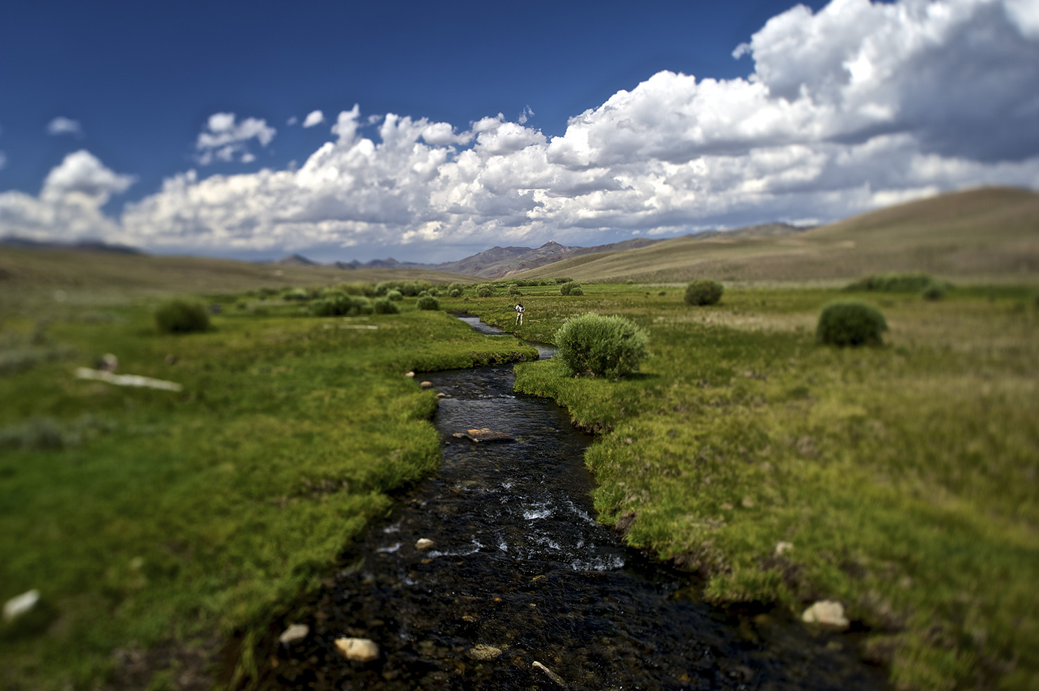 Headwaters of The East Fork Of The Big Lost River