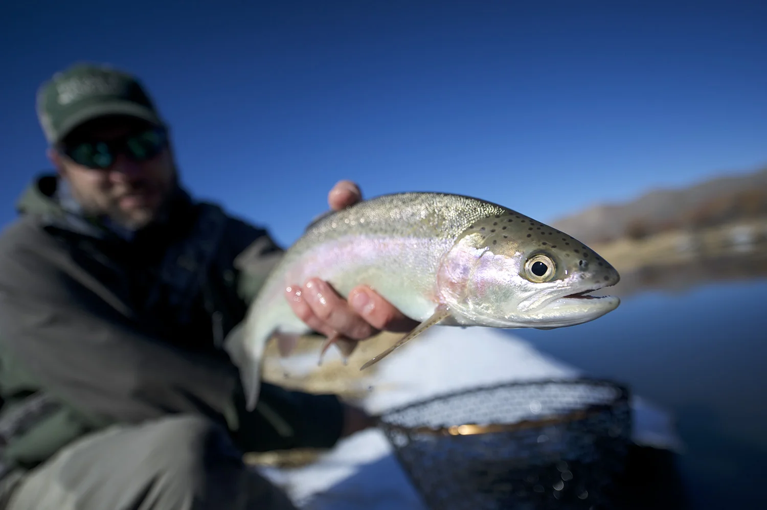 While the majority of fish caught are Browns, there are plenty of healthy Rainbows as well.