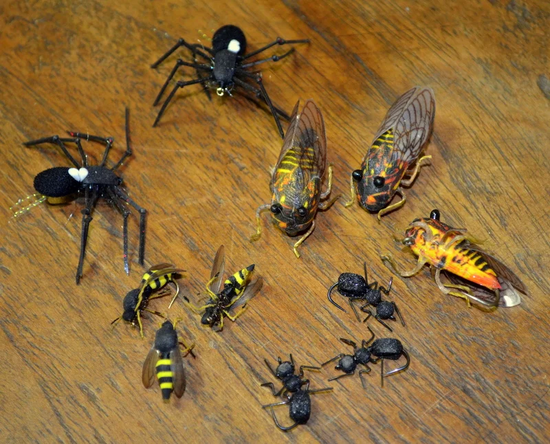 New Terrestrials...