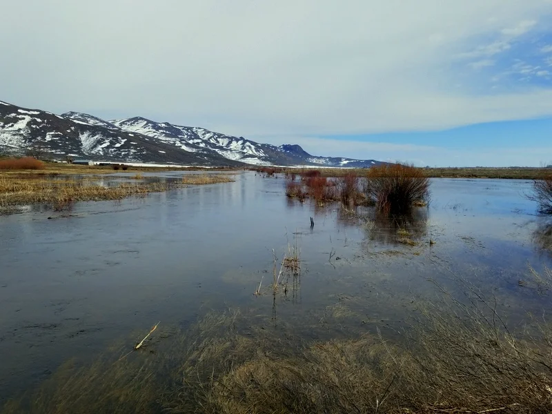 Johnny Cash wants to know...How high is the water Momma? 5 feet high and rising?