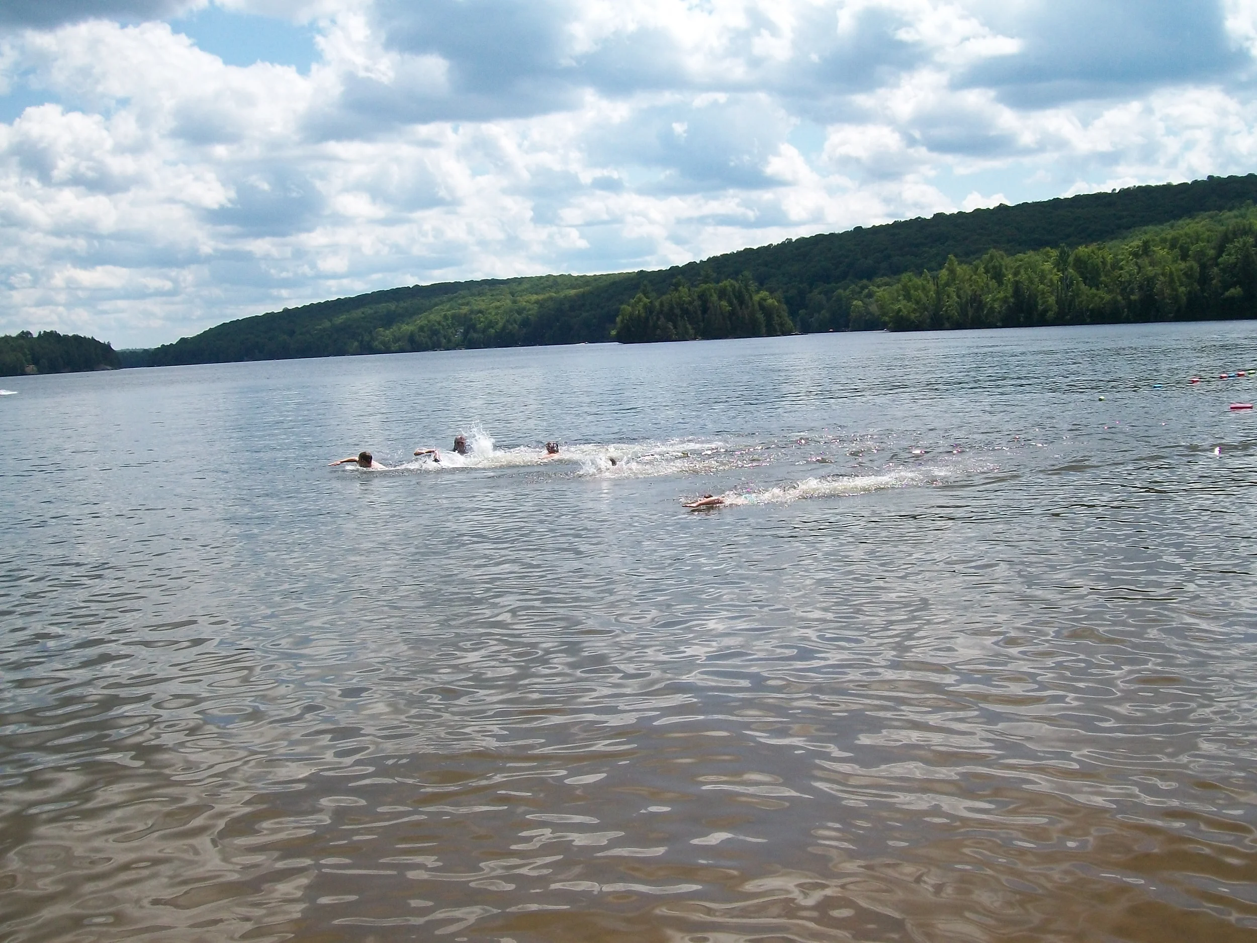 Work that's in line with our values - Paudash Lake Conservation Association's newsletter