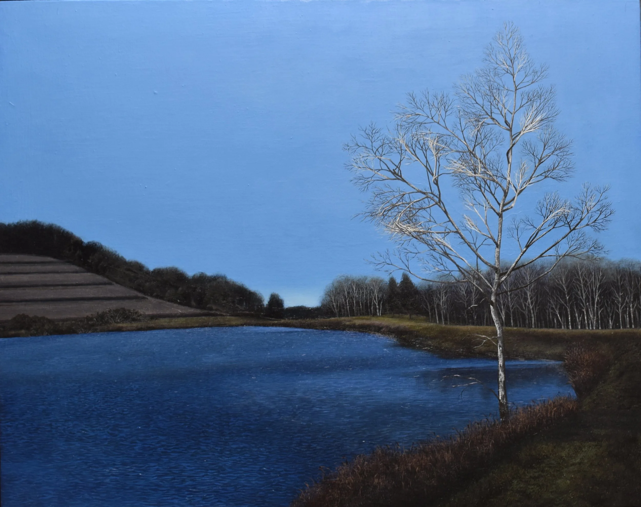 Sentry, oil on panel, 18” X 24,” framed