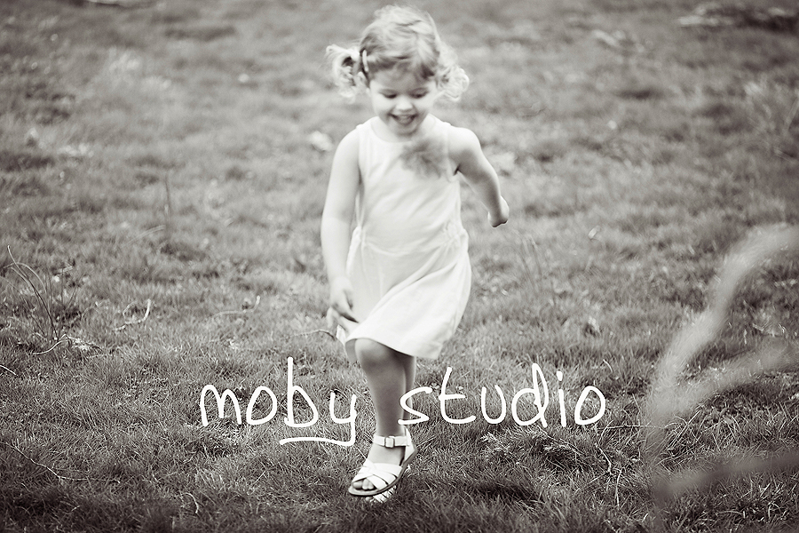 1-moby-blog.jpg