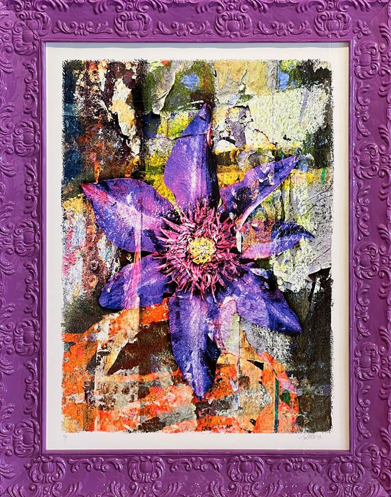 Flower-purple.jpg