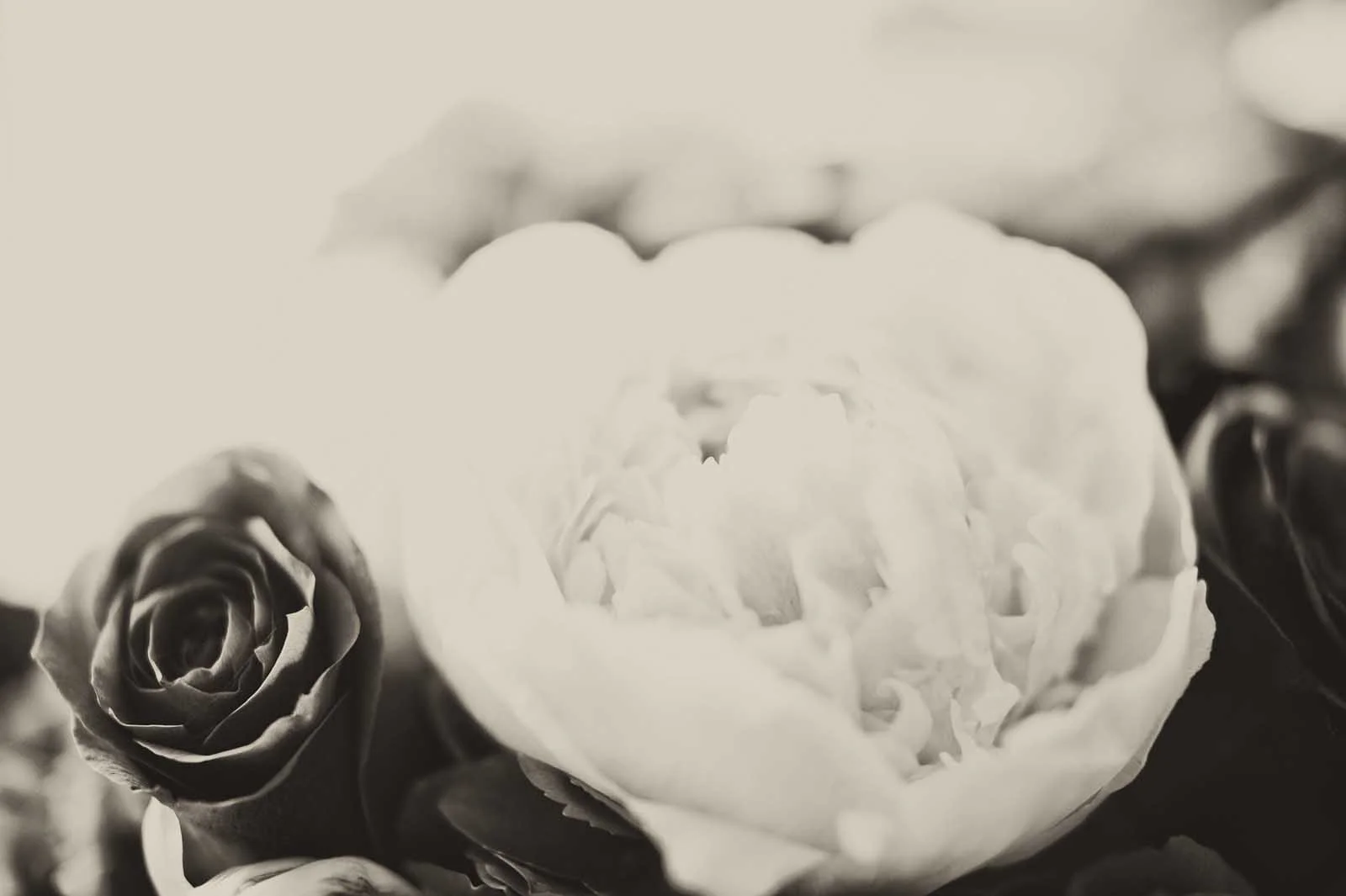 love_032.jpg