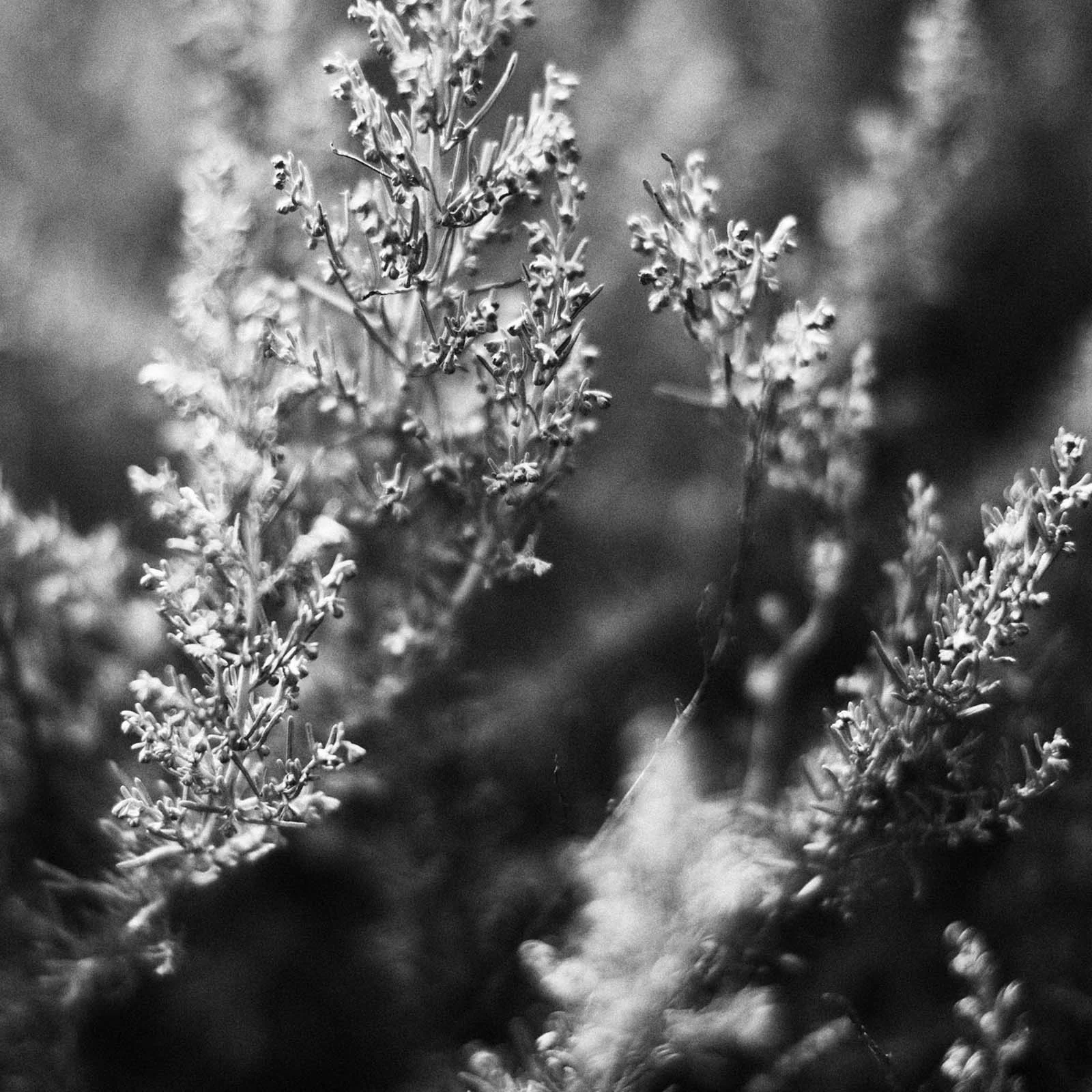 travel_028.jpg