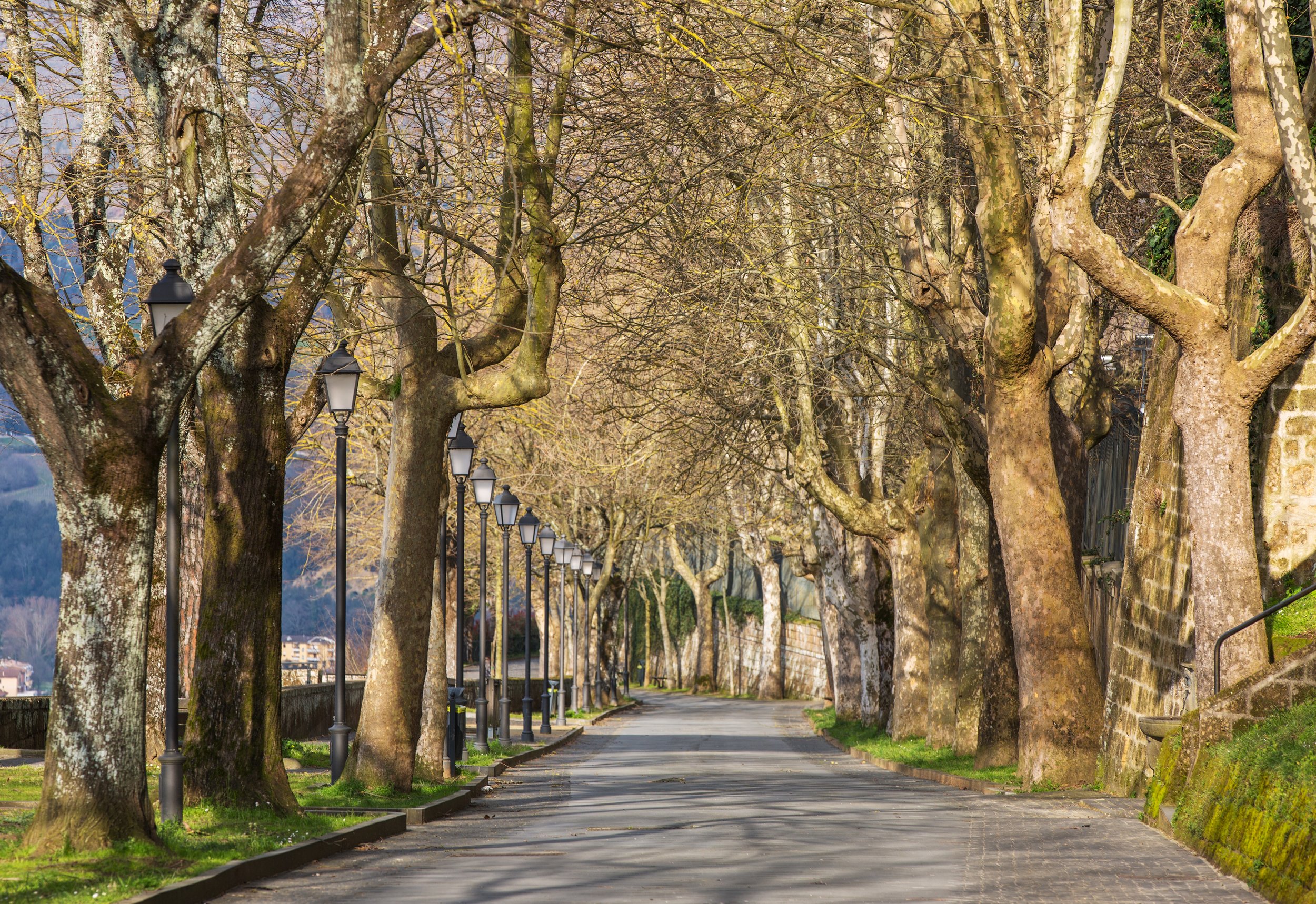  The path along the city wall 