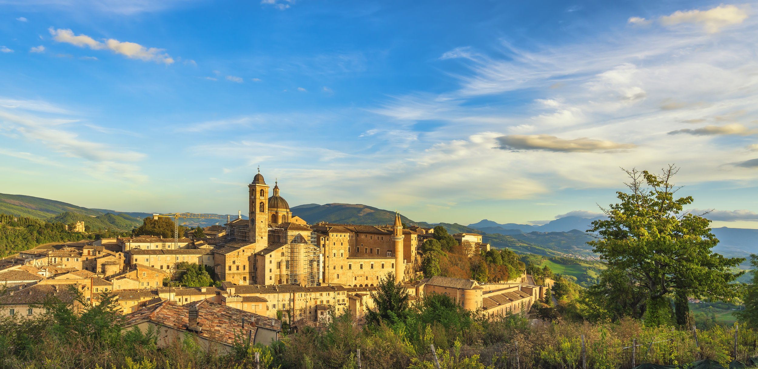  Urbino 
