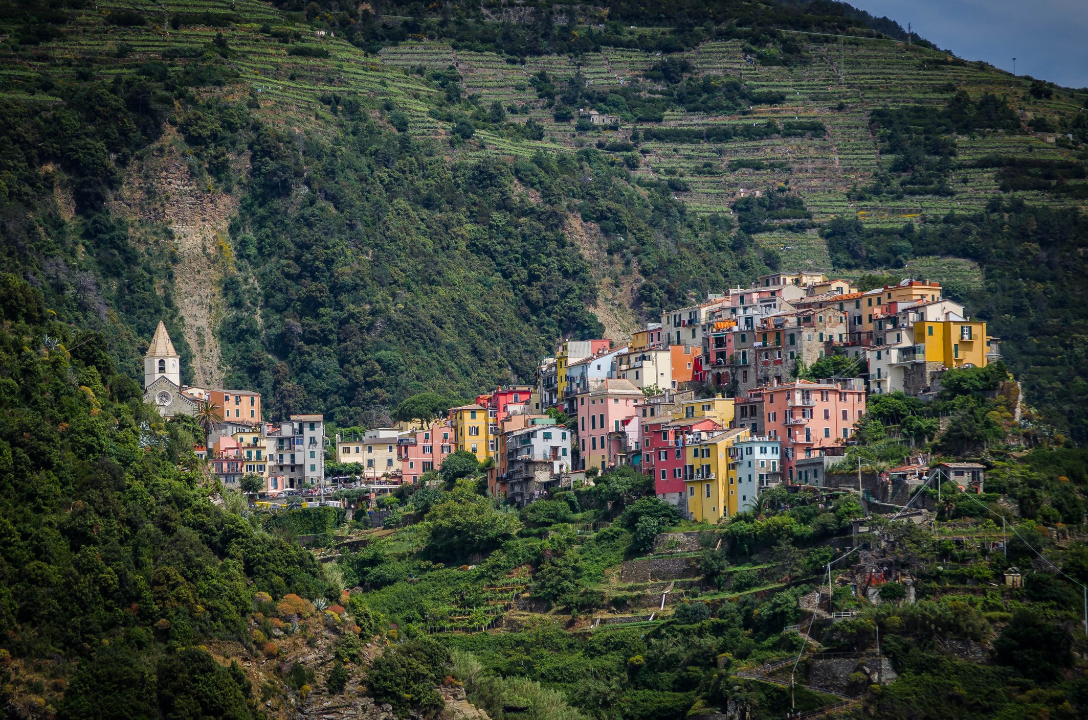 dreamstime_m_41702231_Corniglia_Cinque Terre P © Azurechina.jpg