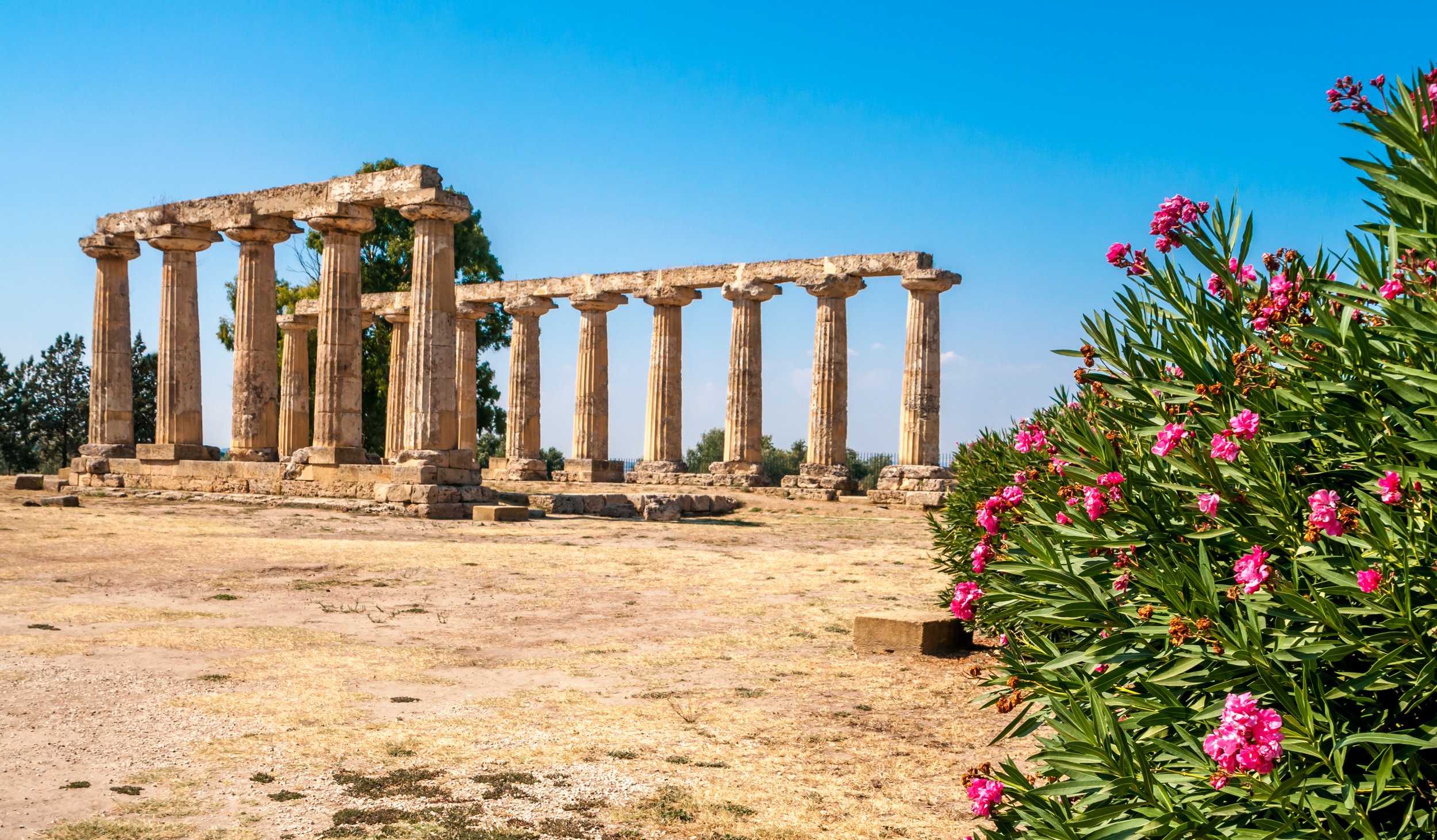 dreamstime_l_30577604 Metapontum Ruins  Basilicata © Milosk50  Dreamstime.com.jpg