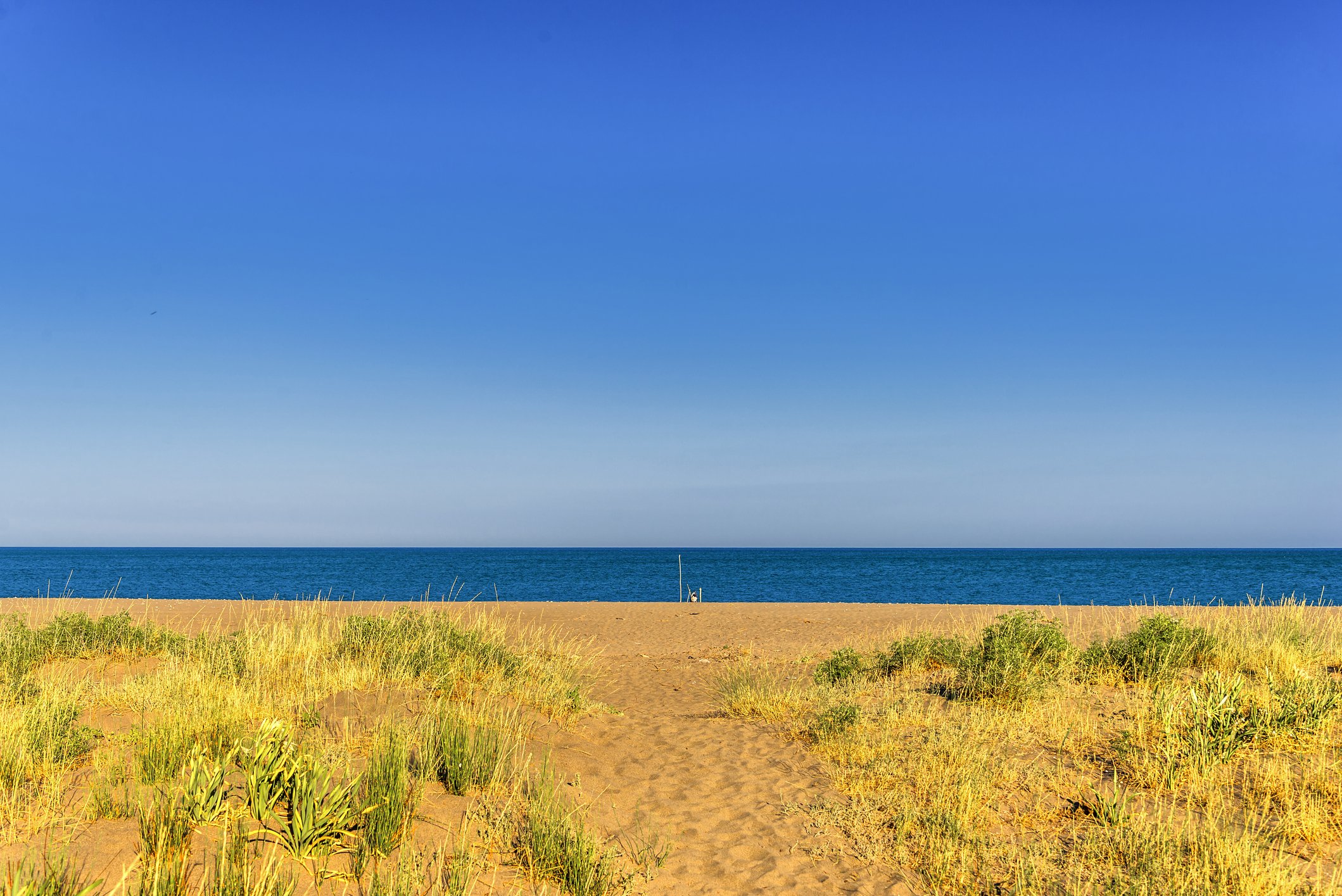 dreamstime_m_142517686 Policoro Beach by M Pinato.jpg