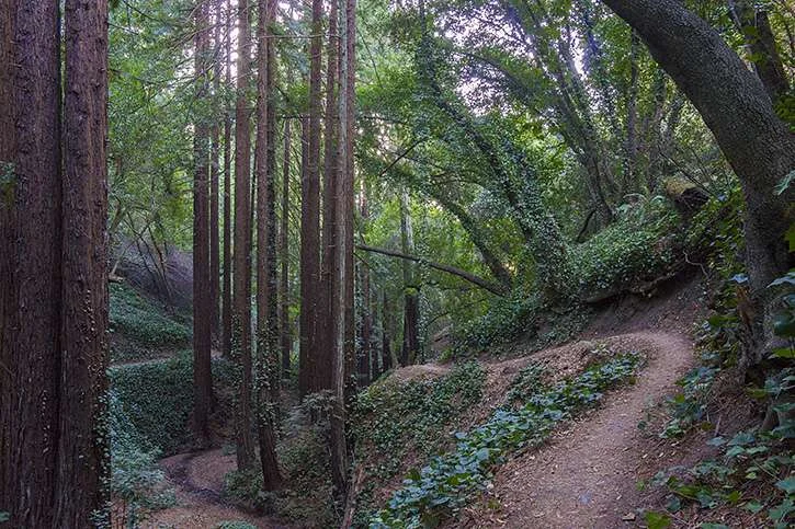 Joaquin Miller is so beautiful. Next time, we'll definitely go on a hike too.