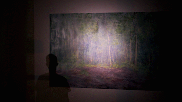 TYC_Forest Apperance.gif