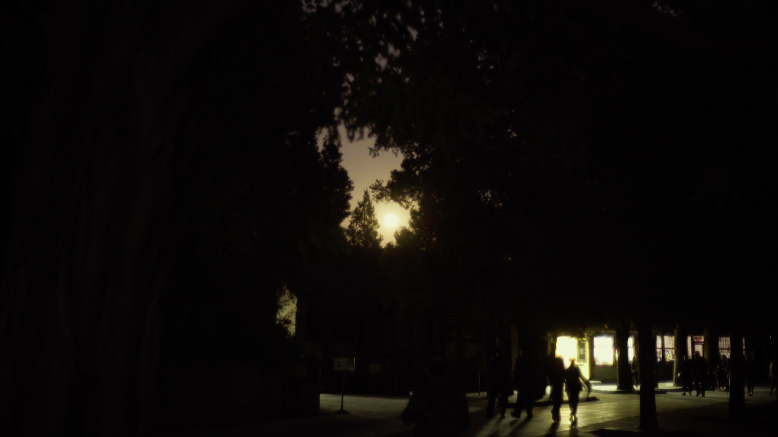 TYC_Stills_10.png