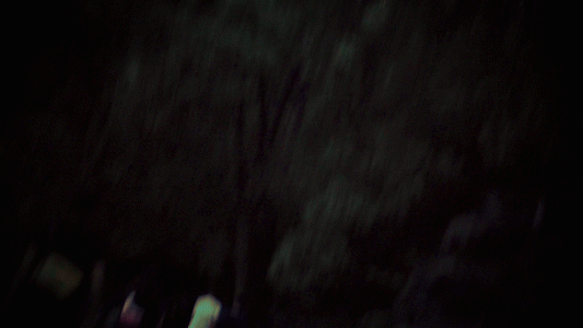 forest stroll.gif