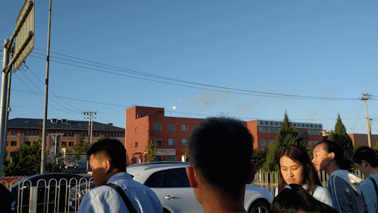 fire works.gif