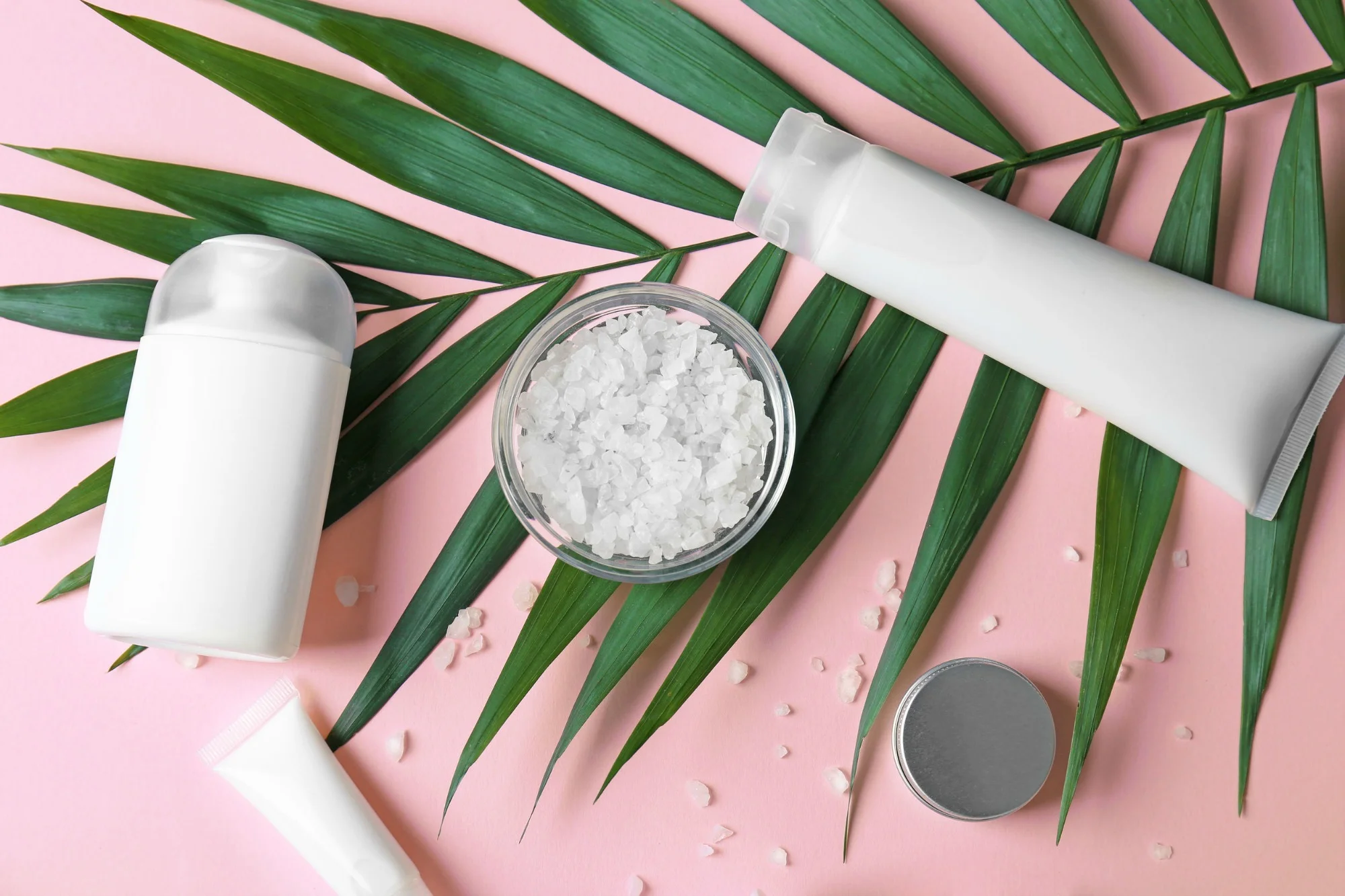 PINK PALM LEAVES12.jpg