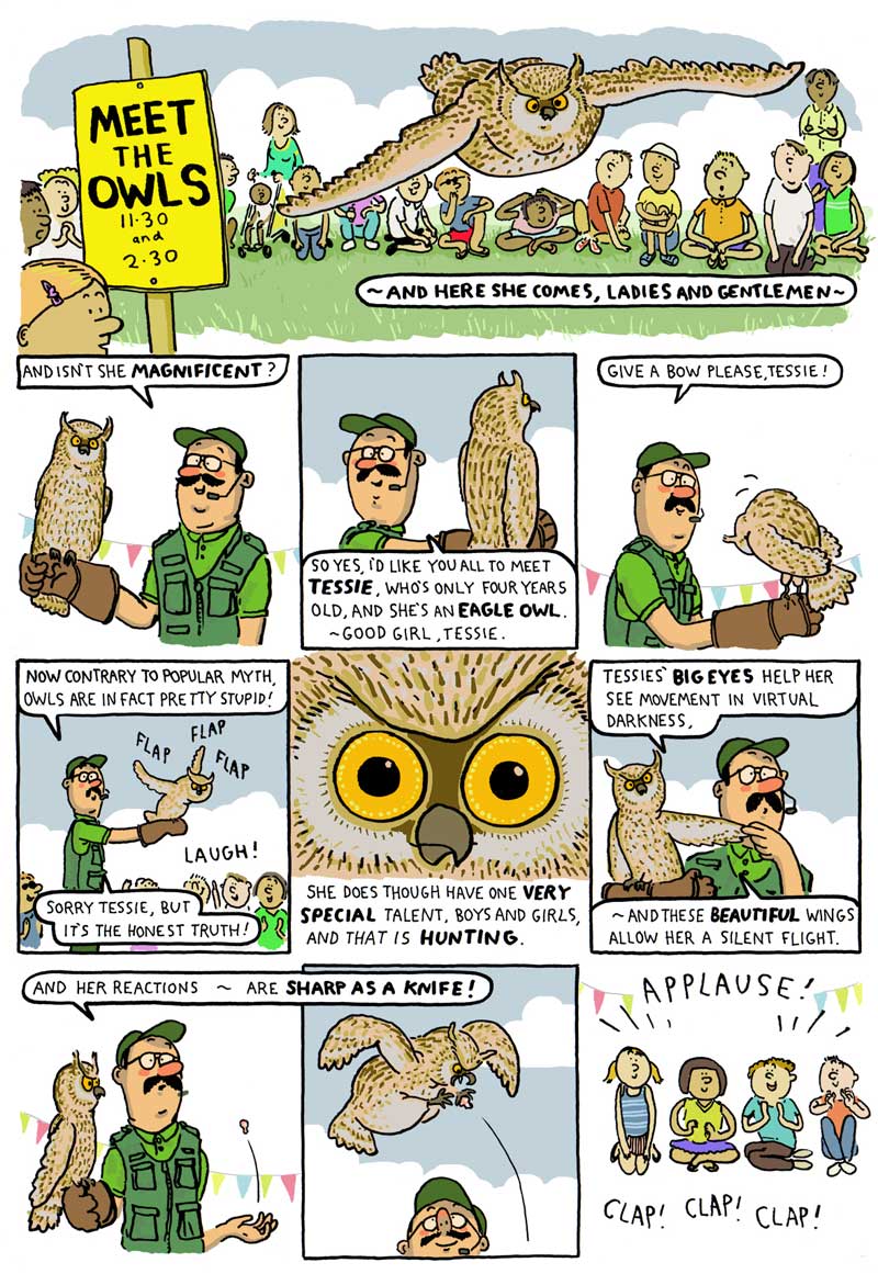 meettheowls1A.jpg