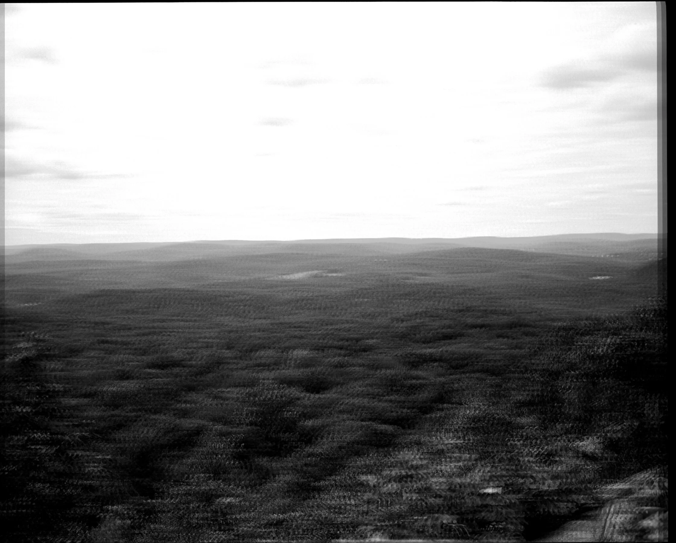 19_09_07 Upstate_5_v2_edited_B&W.jpg