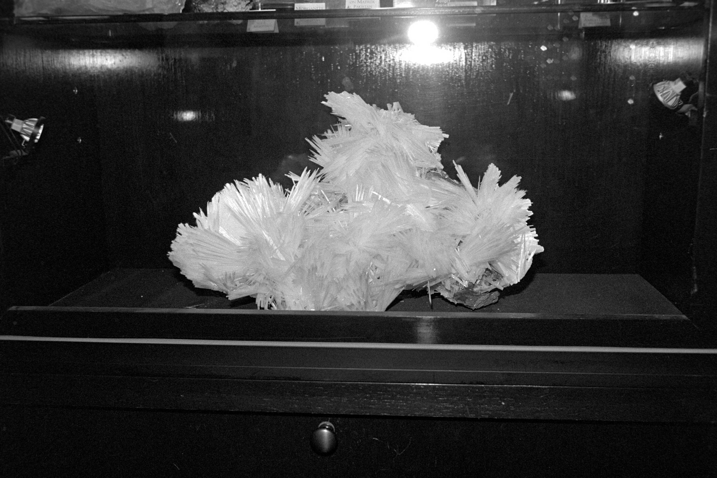 20_03_08 NYC_Mineral_Met_Minox 353519.jpg