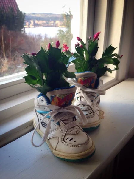 iphone-20141206221332-0.jpg