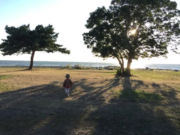 iphone-20150829075833-0.jpg