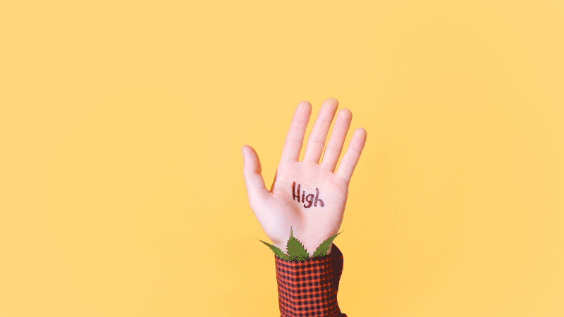 HIGH-HAND.gif