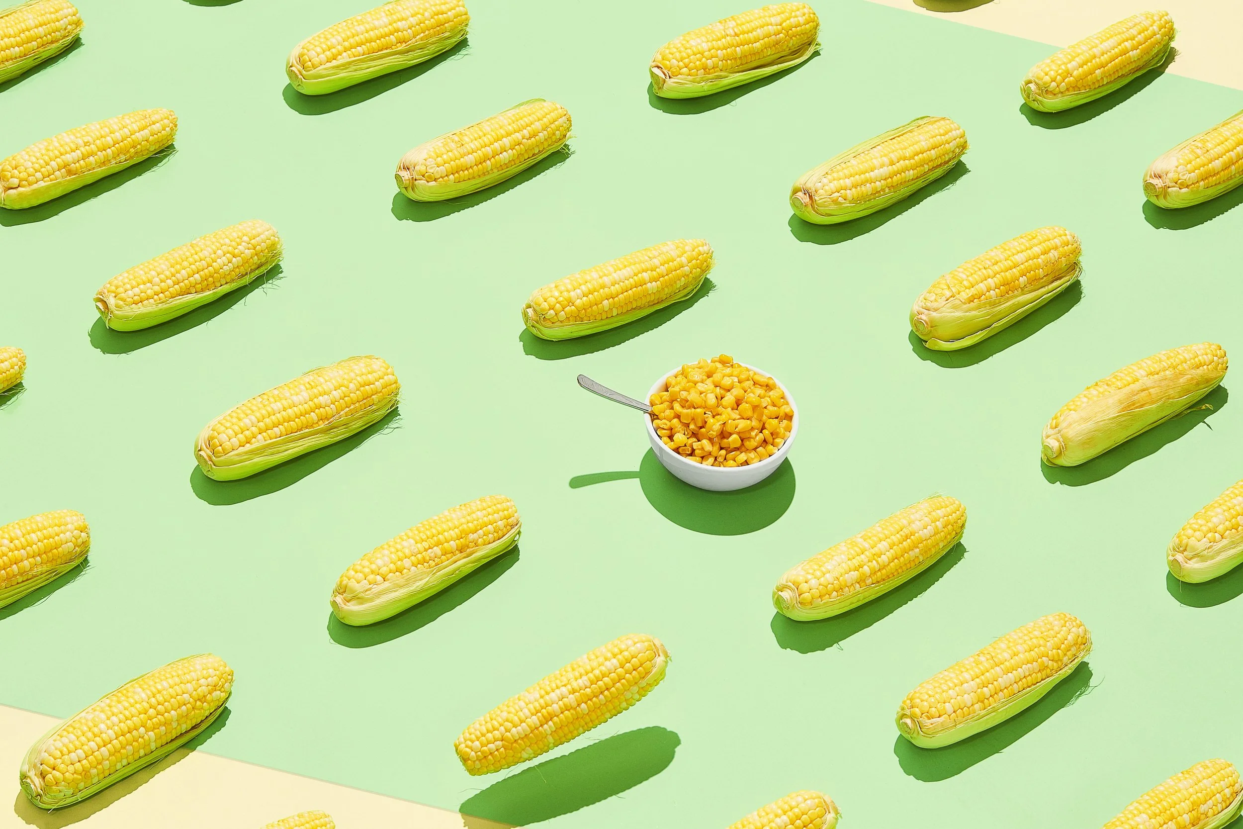 29_CORN_FIELD11809.jpg