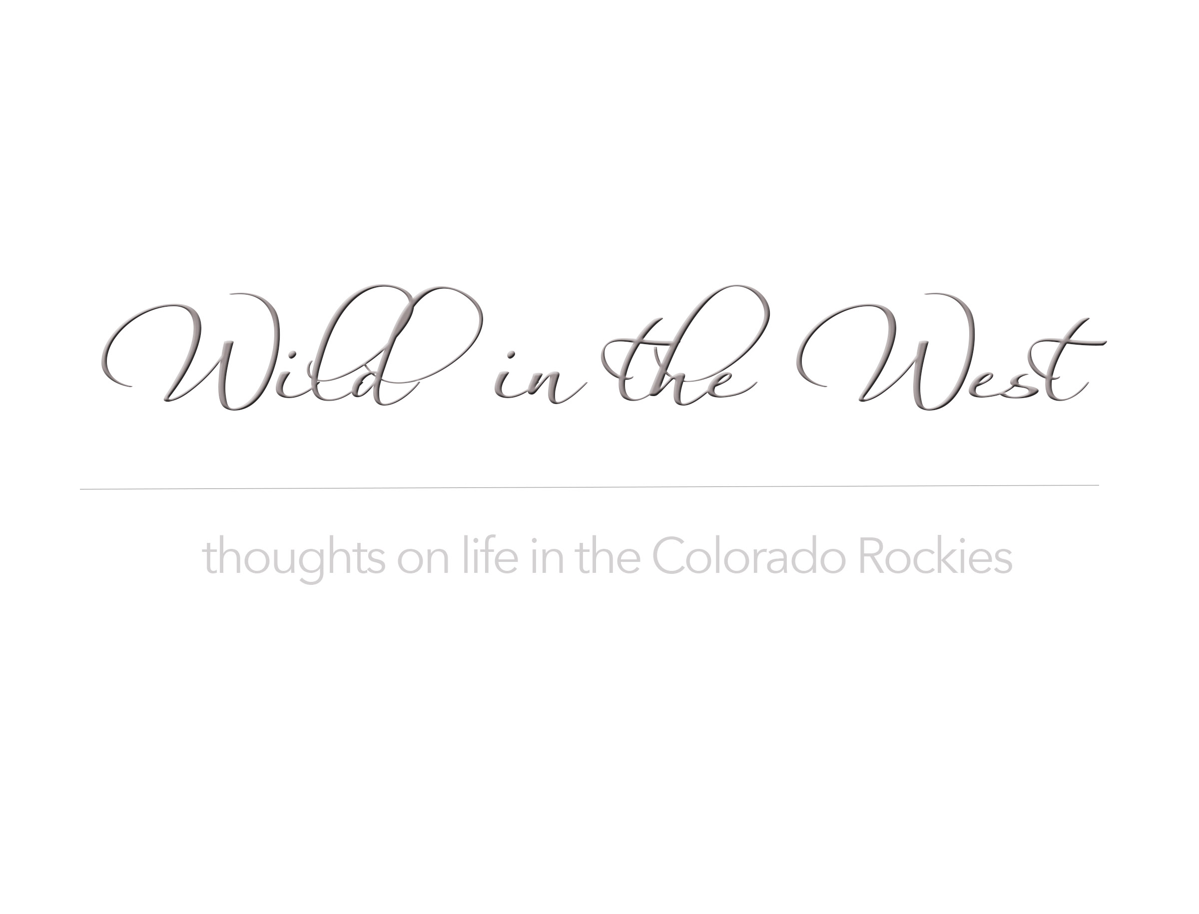 Wild In The West-title.jpg