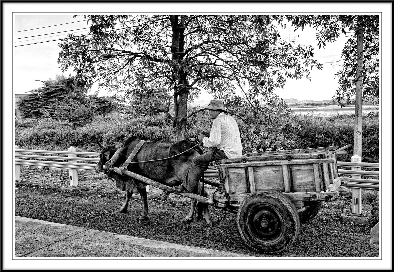      

 
  On the road in Vietnam
 






















     