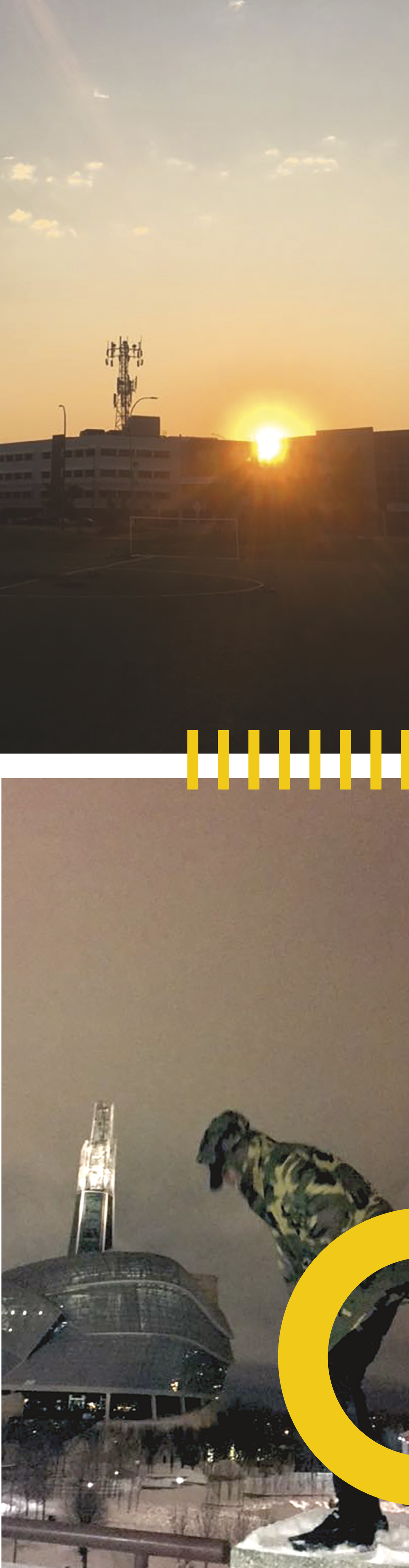 AB-PICS.png