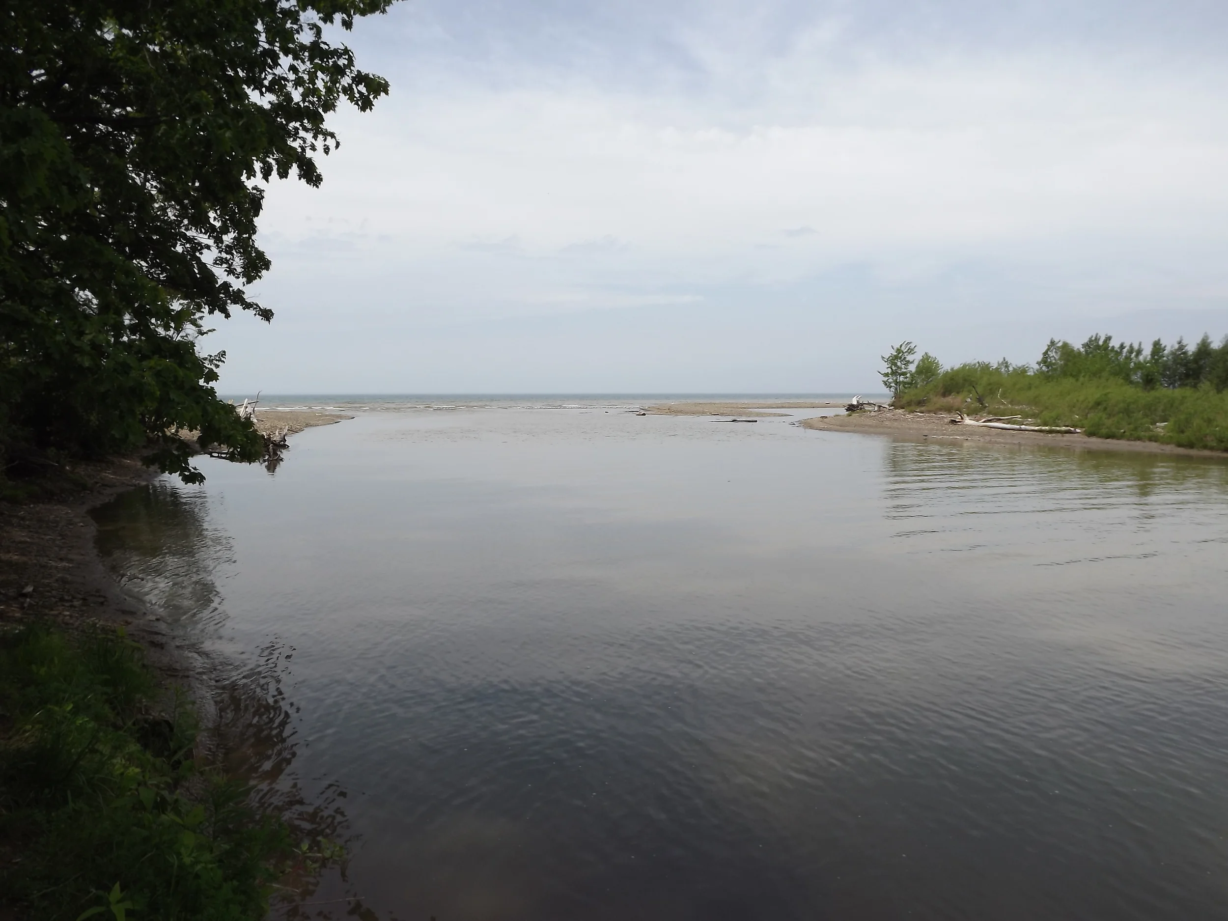The mouth of Canadaway Creek, near Dunkirk, NY. 5.27.13