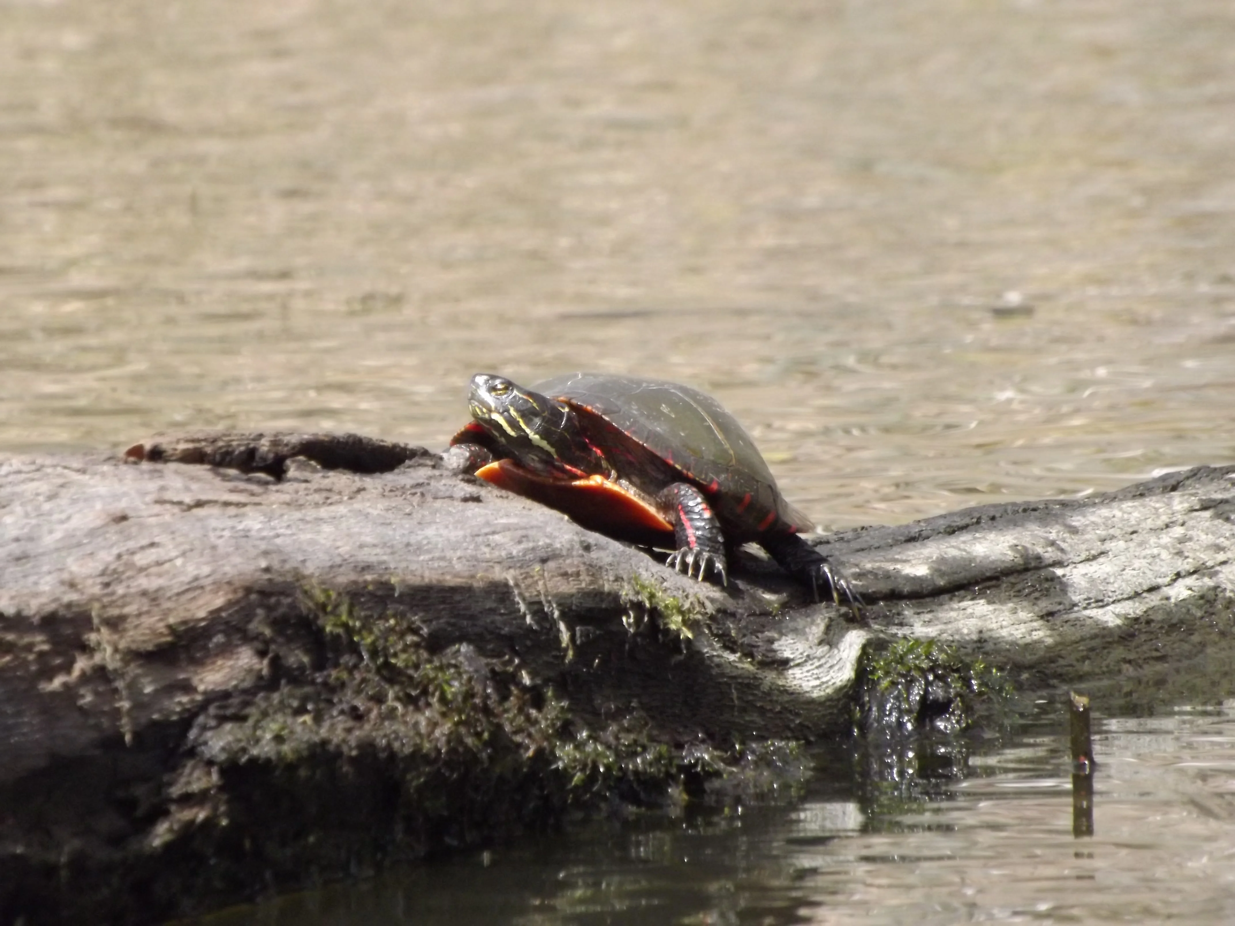 Moraine State Park Weekend