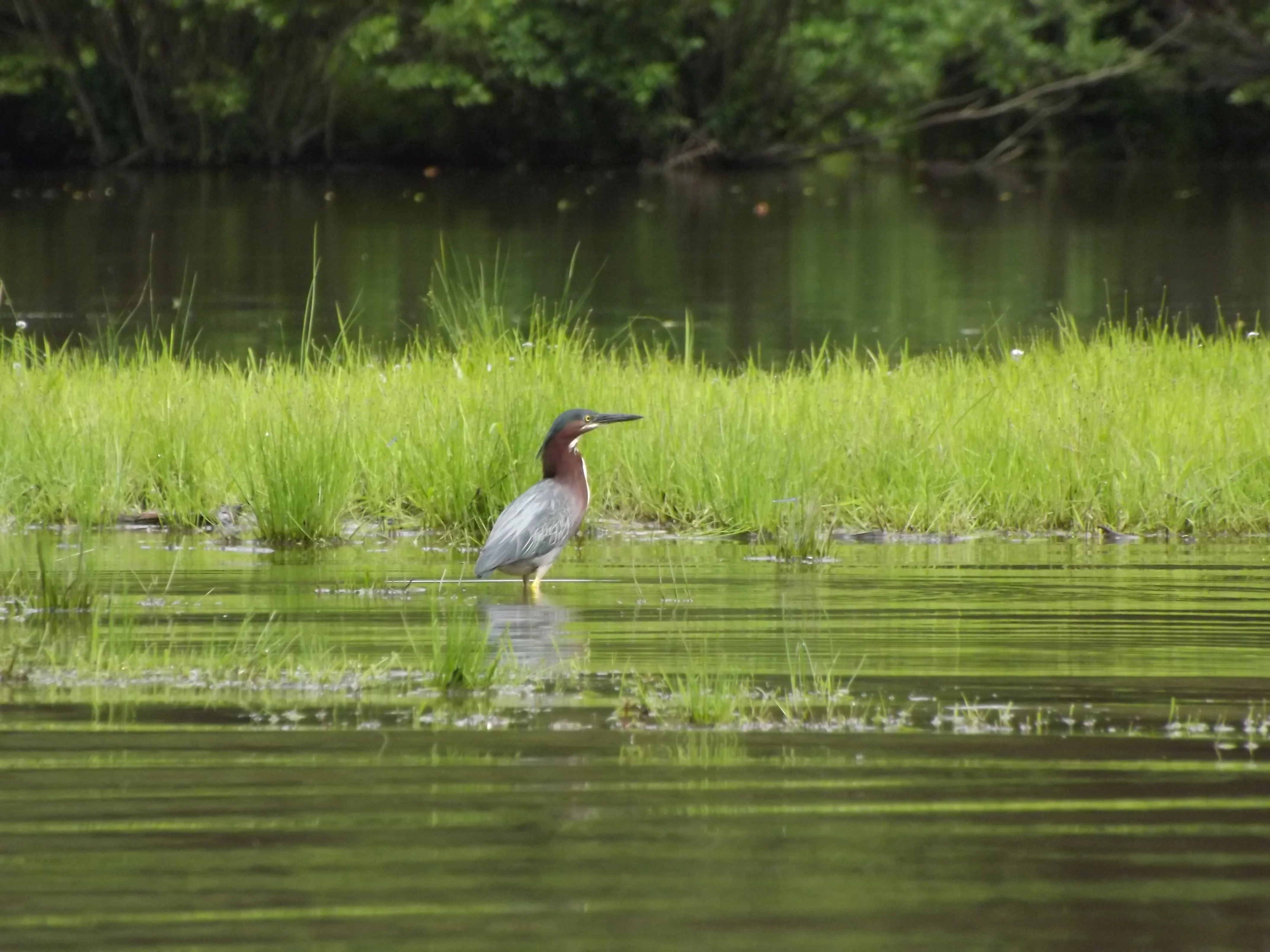 Raccoon Creek State Park Paddle