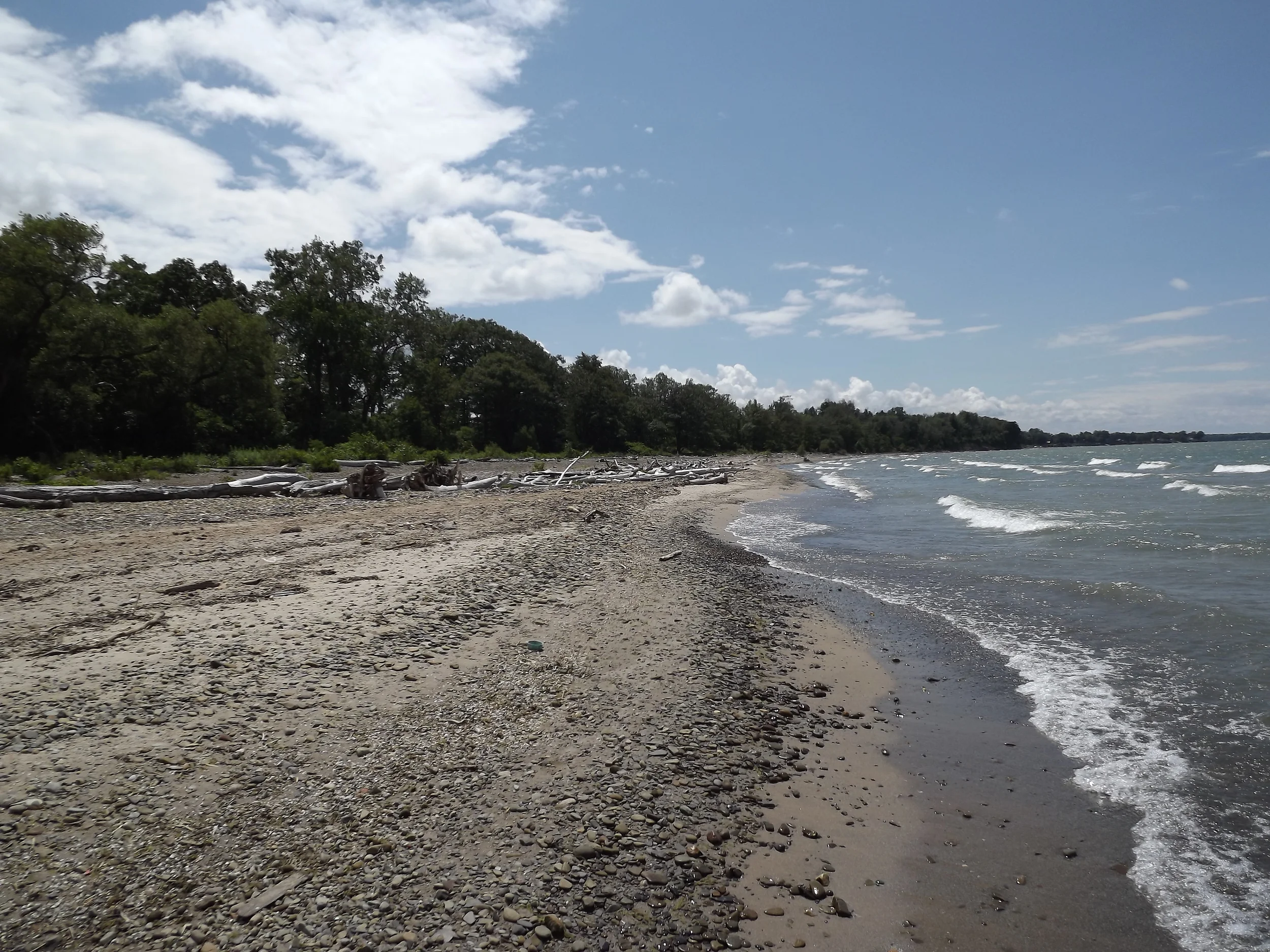 Beach near Canadaway Creek