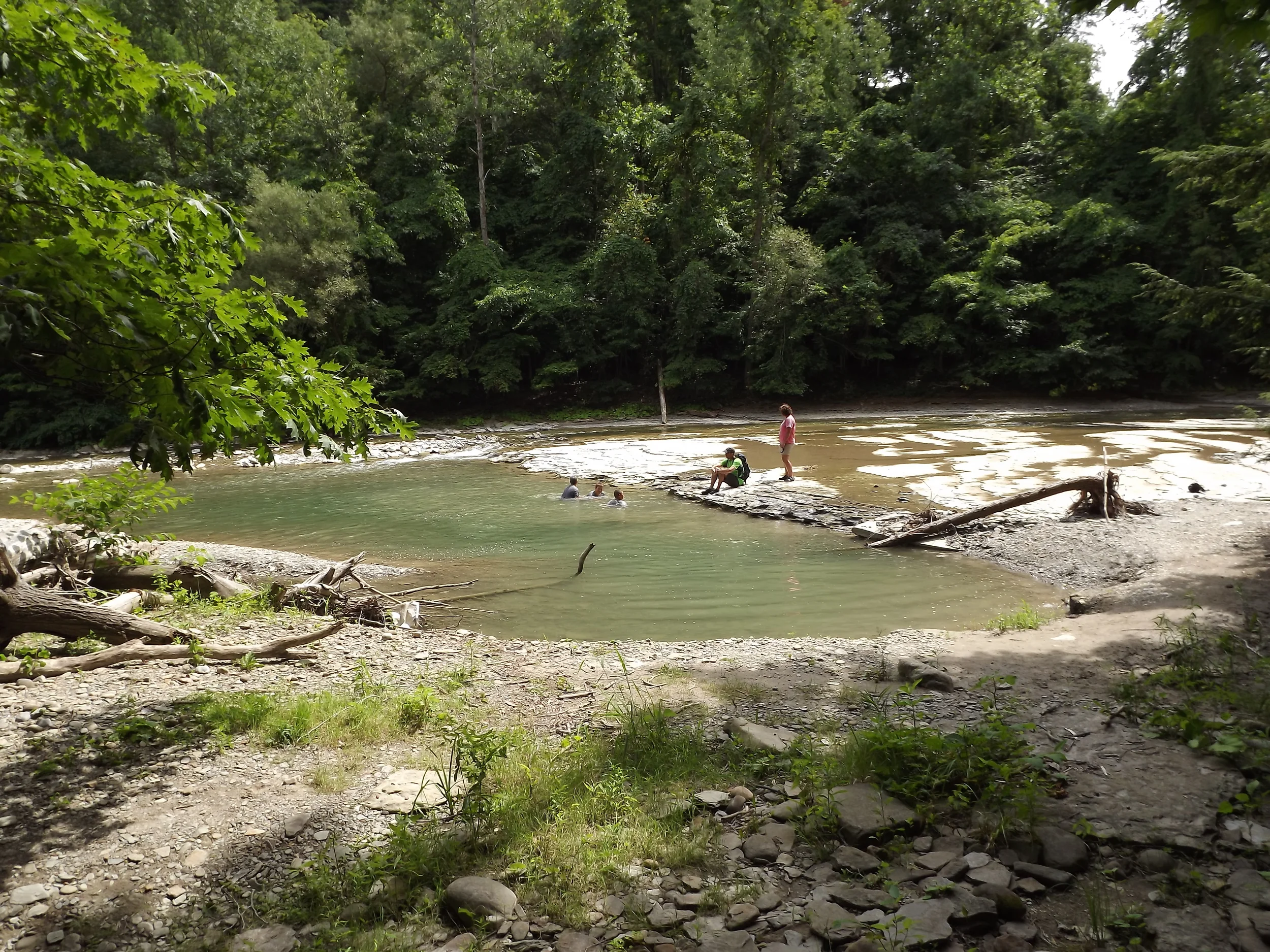 Zoar Valley — Natural Sewickley