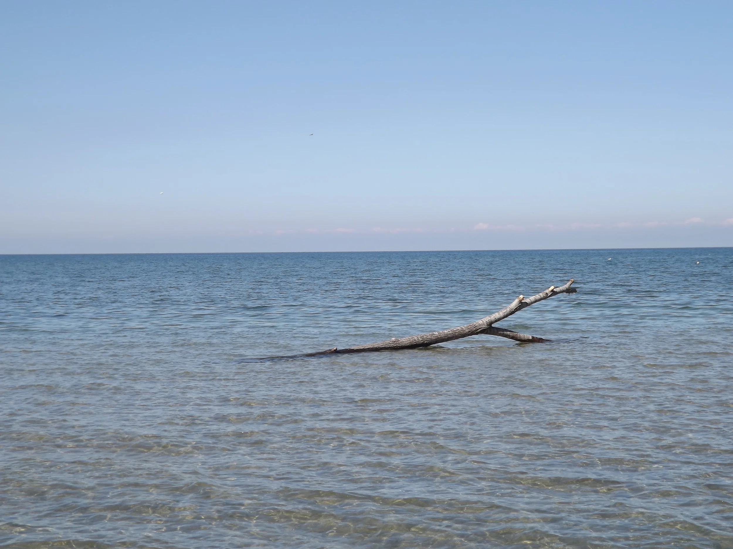 Lake Erie