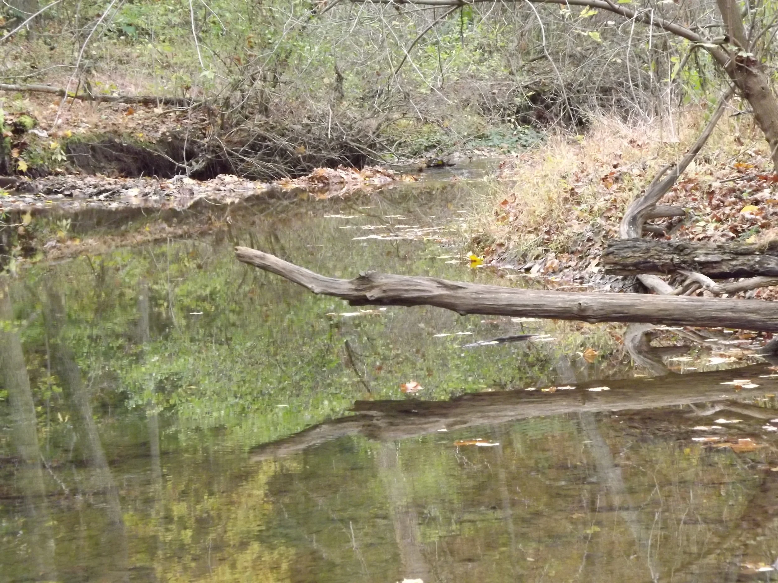 Little Sewickley Creek
