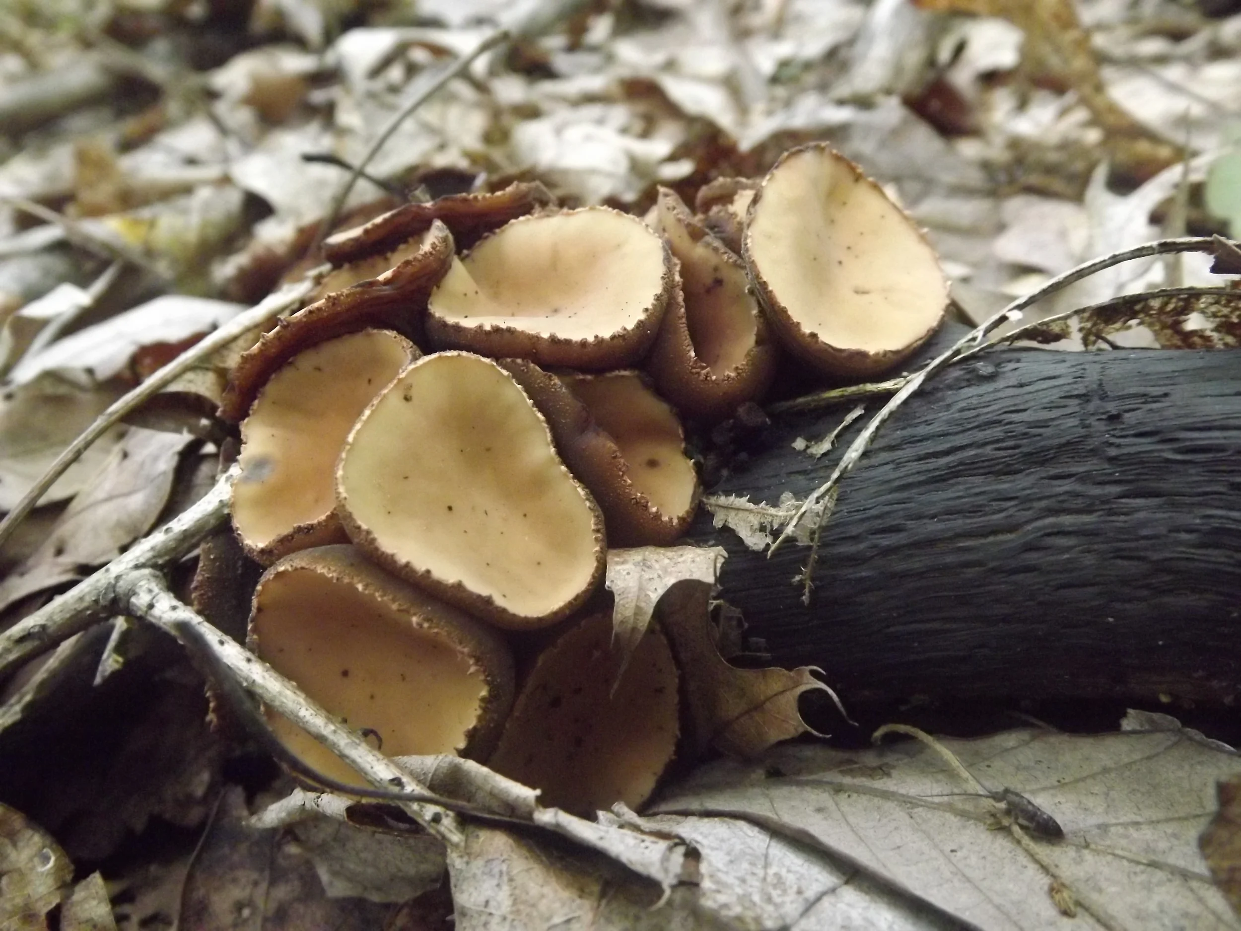 Not all who wander are lost...