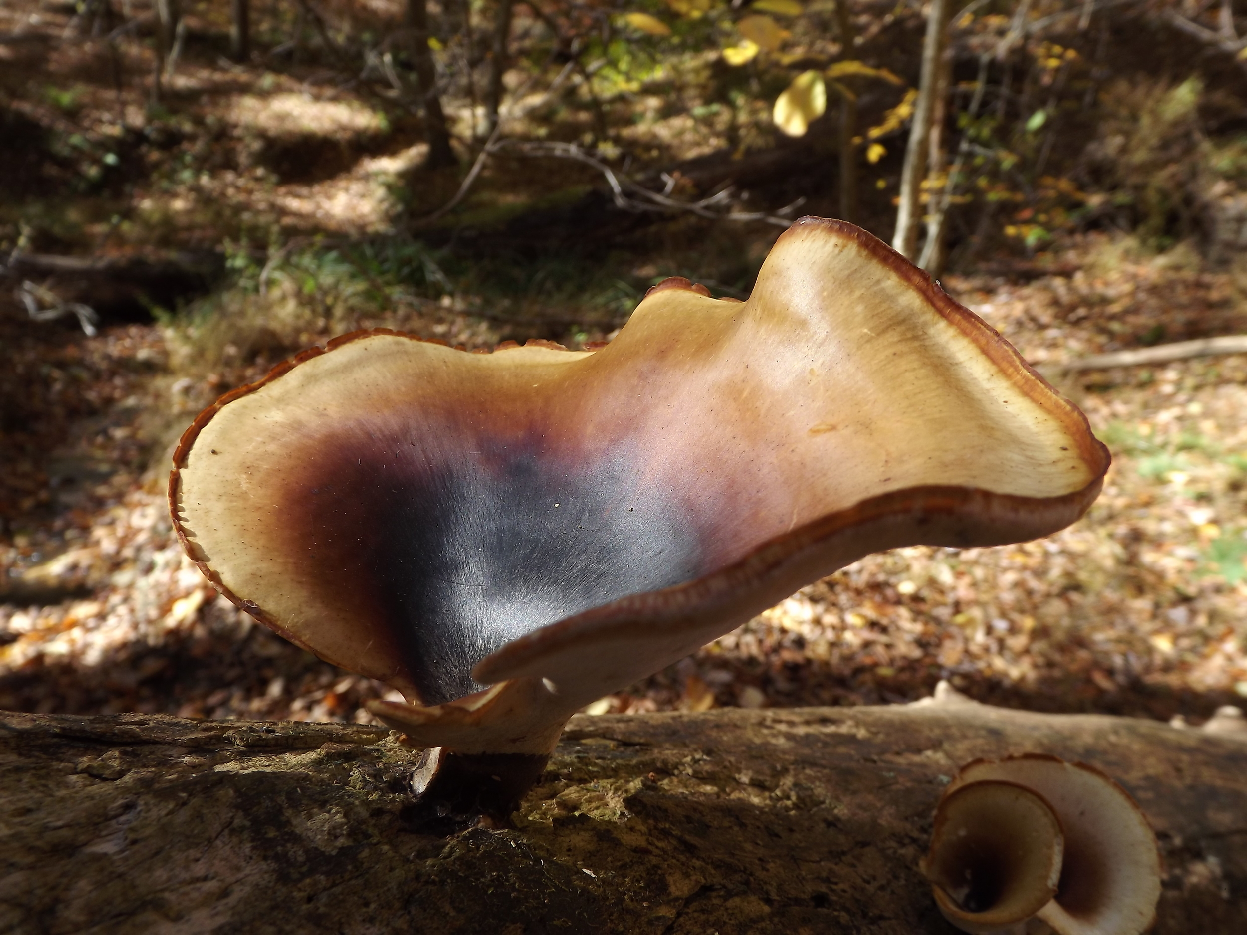 Last Sunday morning, the sunshine felt like rain...